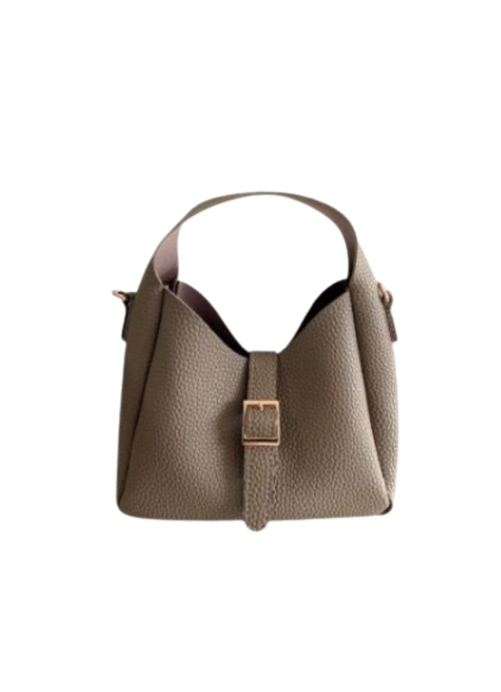 Aliza Mini Buckle Hobo Bag