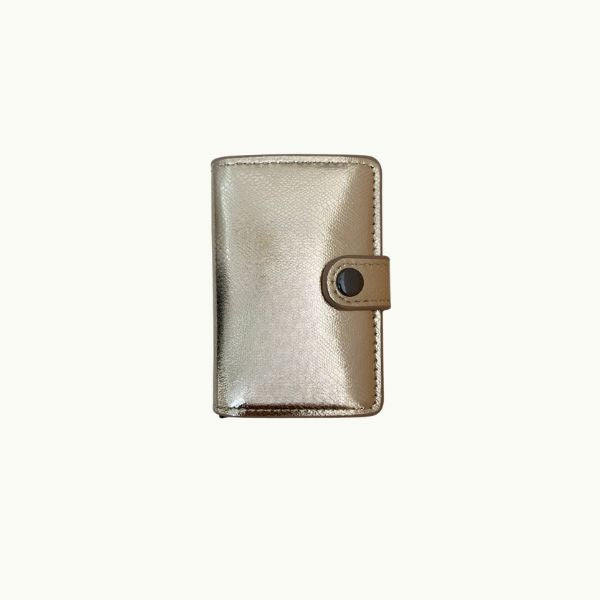 Metallic Card Holder